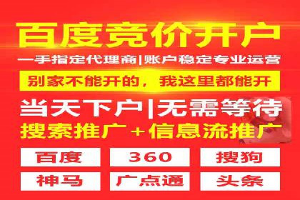 SEM服务公司助力品牌崛起案例
